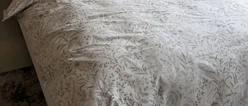 Постельное белье Ботаника, евро, хлопок