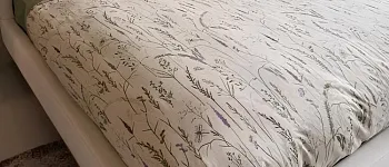 Постельное белье Сальвия, евро, полулен