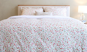 КПБ Эмилия Зеленый цветок 2-х спальный, Ткань: хлопок 